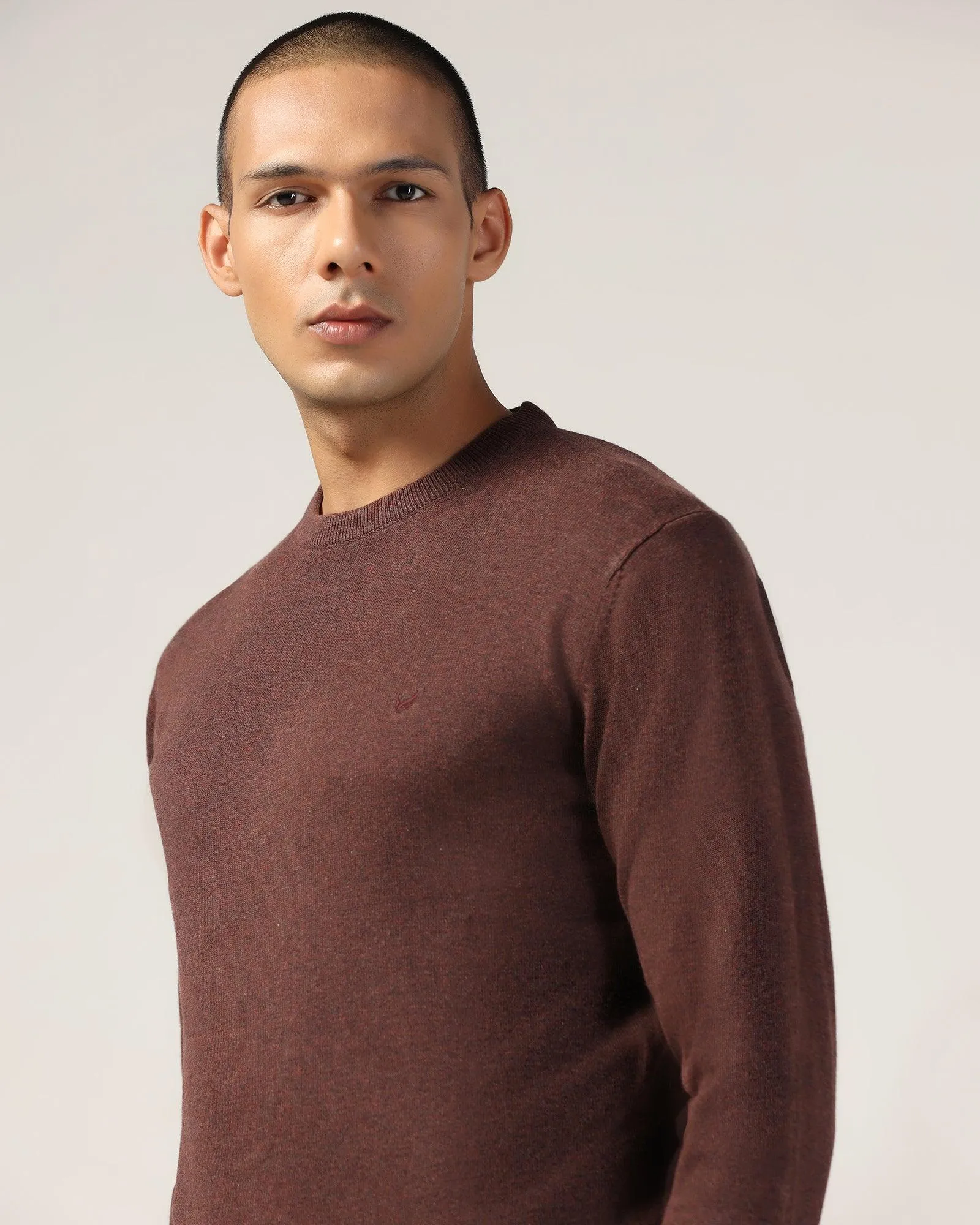 Crew Neck Brown Solid Sweater - Harley