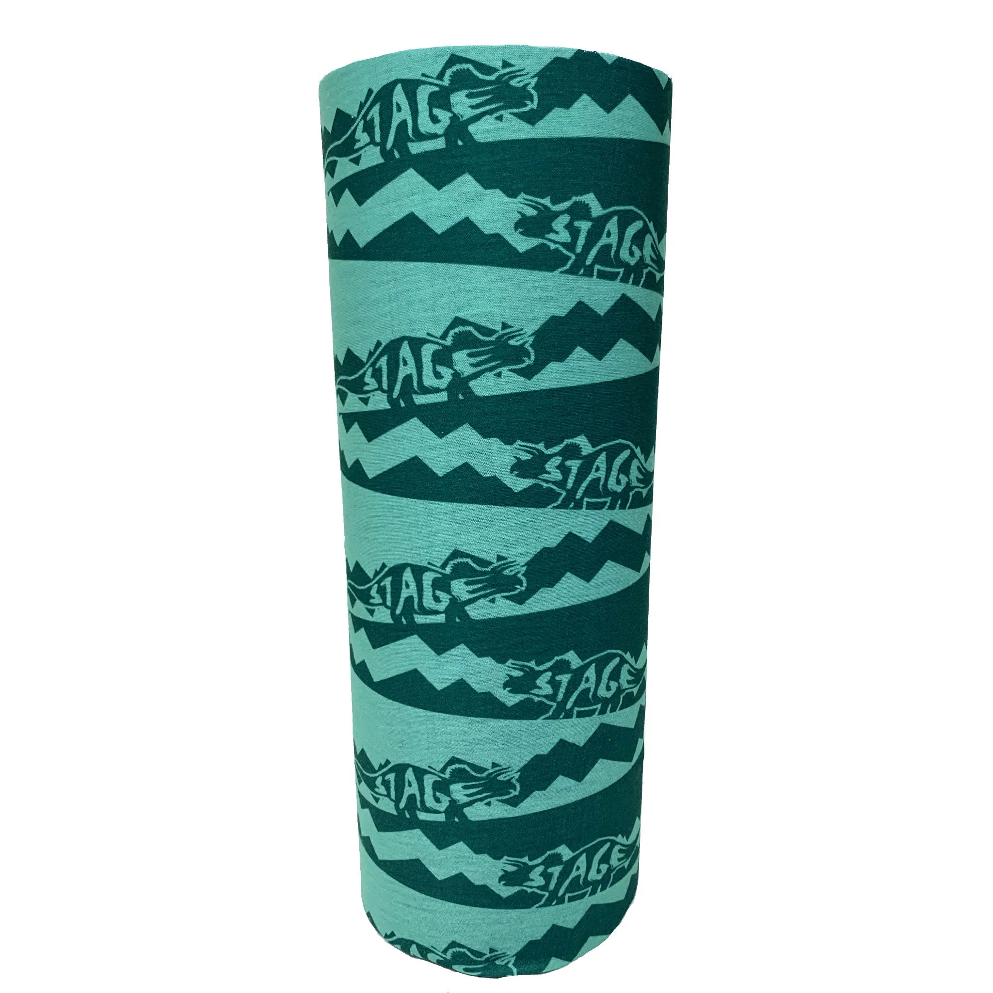 Jr. Face Tube - Dino Teal - Single Layer